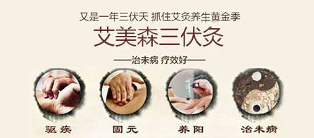 艾美森三伏灸,100天打造财富奇迹!